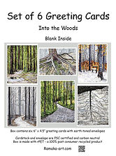 Into the Woods_edited.jpg