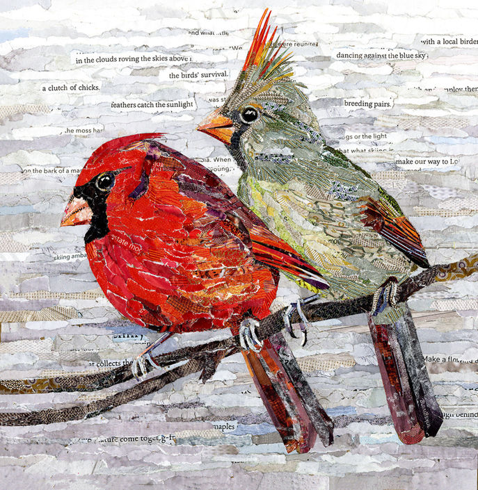 collage of two cardinals