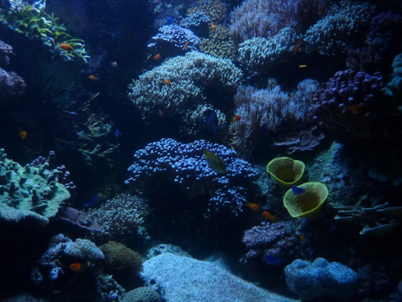 Marine Listed Areas Updated