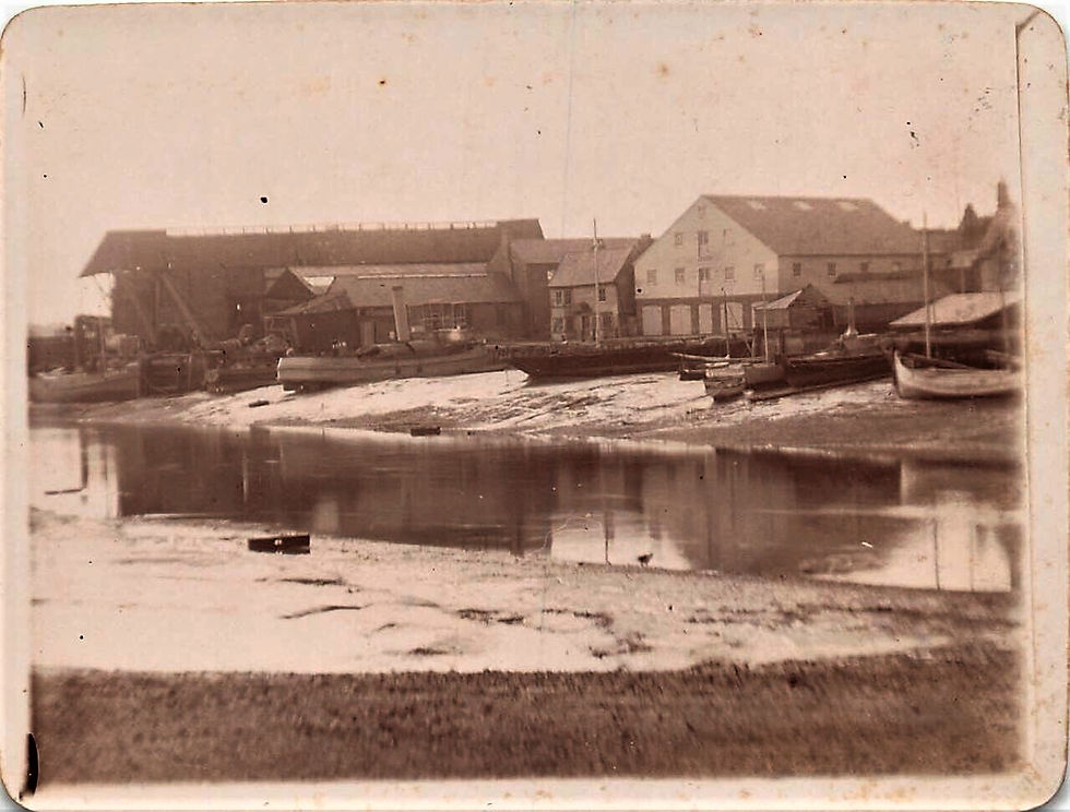 Wivenhoe From Fingringhoe 35