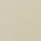 RAL-1001.png