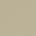 RAL-1001.png