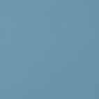 RAL-5008.png