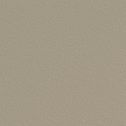 RAL-1001.png