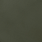 RAL-6005.png