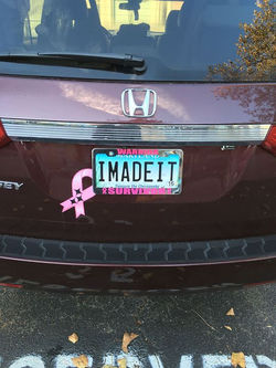 The last day of breast cancer awareness month. I am representing the cause. Look at my license plate