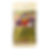 Pokémon TCG (Japanese) - Hiroshima's Pikachu Promo (Unopened)