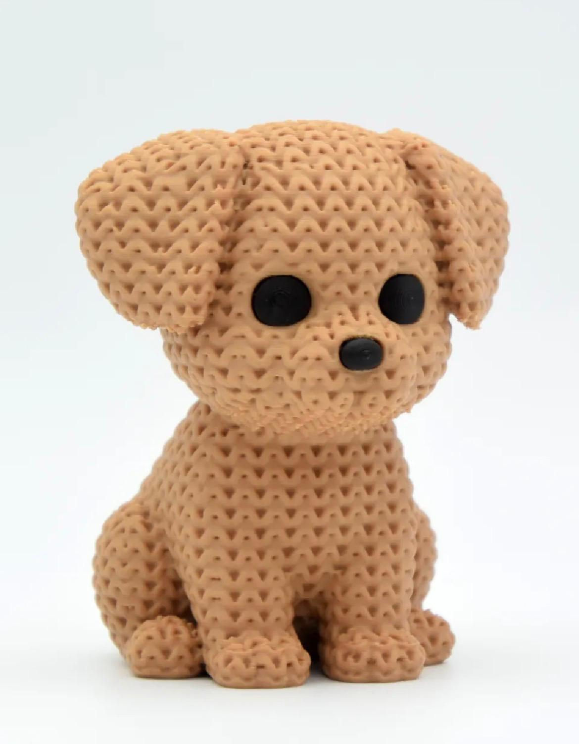 CAGNOLINO
