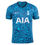 Miniatura: Tottenham 22/23