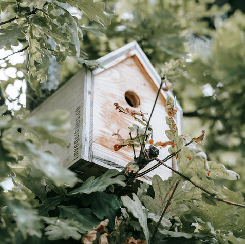 COSY LOFT CHALET | Monika & Adrian Schwarz | Pfeffikon LU