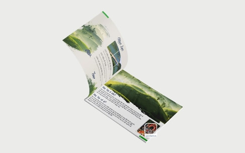 Mẫu catalogue du lịch núi 02