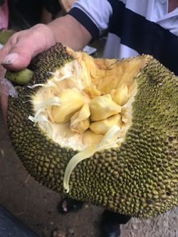 Jackfruit!