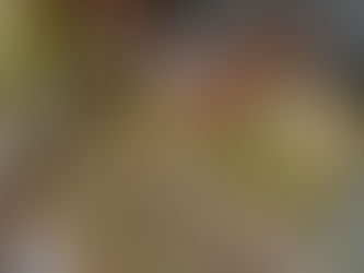 篠田さんの”HELLIER"制作記２６