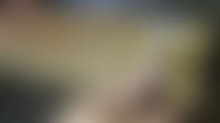 斉藤さんのアントニオ・ストラディヴァリ”MESSIA"制作記２２