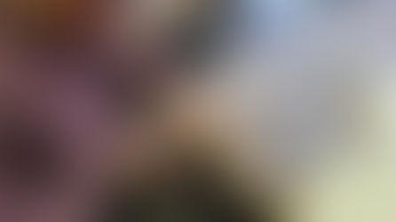 岡部さんのグアルネリ・デルジェス”ALARD"制作記７