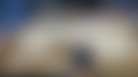 田中さんのドメニコ・モンタニアーナ”スリーピング・ビューティー”制作記18