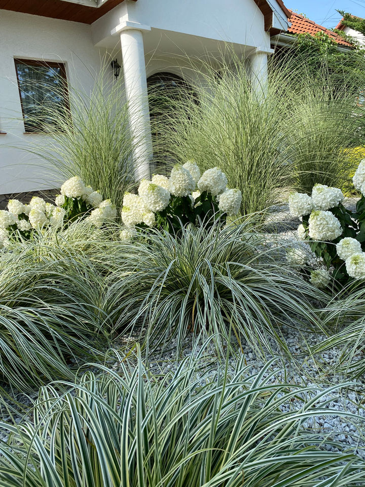 Projektowanie ogrodów Rzeszów, ogrody Rzeszów, projektowanie ogrodów Kolbuszowa