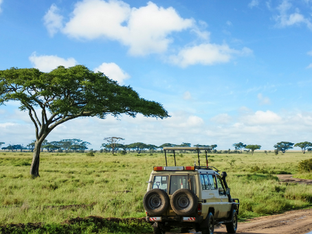 Descubrí la Belleza de África: Un Continente de Diversidad y Aventura