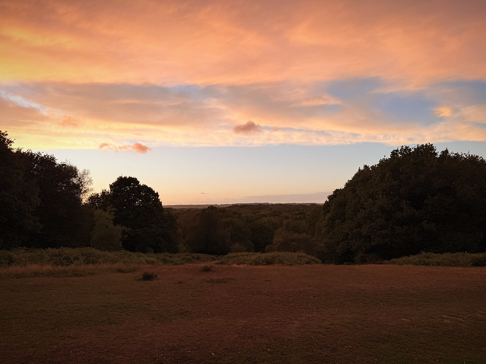 Westcott countryside, Dorking