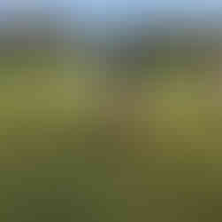 Coach Scott drying the bowlers run up