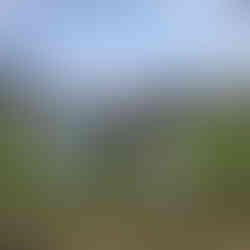 Baggy Blue presentation