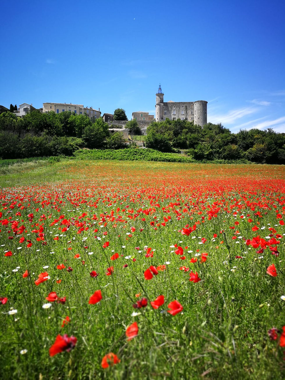 vue sur le très beau village de Lussan, champ de coquelicots