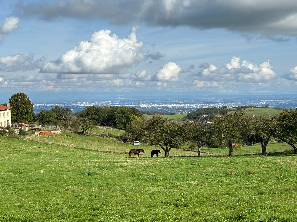 vue de Châteauvieux dans les Monts du Lyonnais sur la ville de Lyon