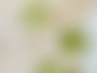 velouté de petits pois à la menthe et au basilic présenté dans trois bols