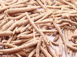 Withania somnifera Ashwagandha header.jpg.webp