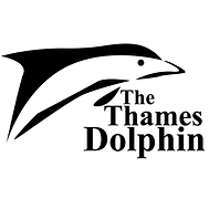 image logo.png