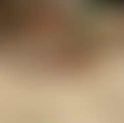 Hotel Dalmacija - 25. dio