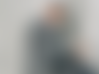 Sve više napada na Dalmatine