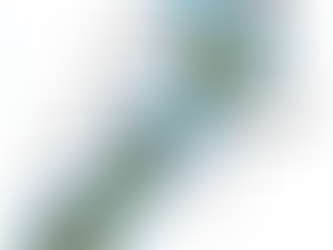 Sustavi lokalne samouprave: međunarodni pregled - Novi Zeland