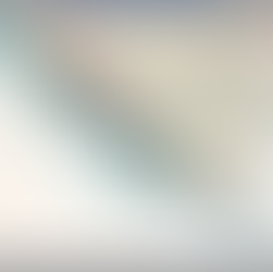 Knjiga o Dalmaciji (2)