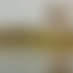 POUBIJATI DJECU: Ustaški genocid nad Dalmatinima