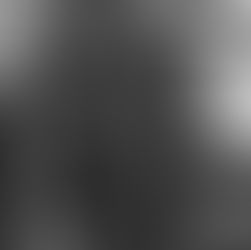 Stanko Parmać i Chinatown Opuzen