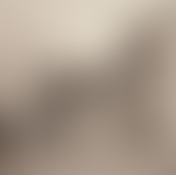 Položaj Dalmatina u okupiranoj Dalmaciji 1941-1944 (2)