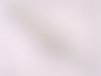 Loše institucije još lošija vlast