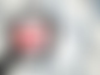 STRANPUTICA Dalmatinska demografska slika i prilika