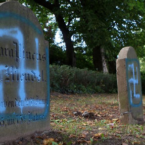 Dalmacija ima ogroman problem s ekstremnom desnicom