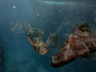 Dalmacija se guši u plastici