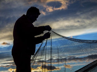 Politička evolucija Dalmacije: Putovanje kroz vrijeme