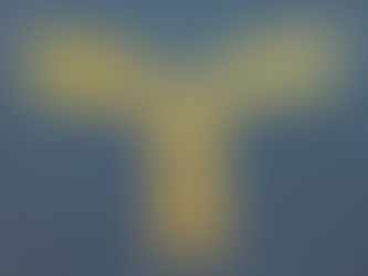 Je li Dalmacija demokratsko društvo?