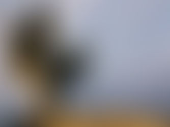 Žrtve Jasenovca: ubijeni ‘40. - zaboravljeni ‘70.