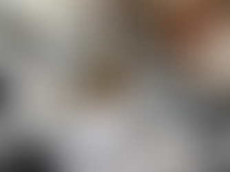 Uloga šaltera u postrevoluciji