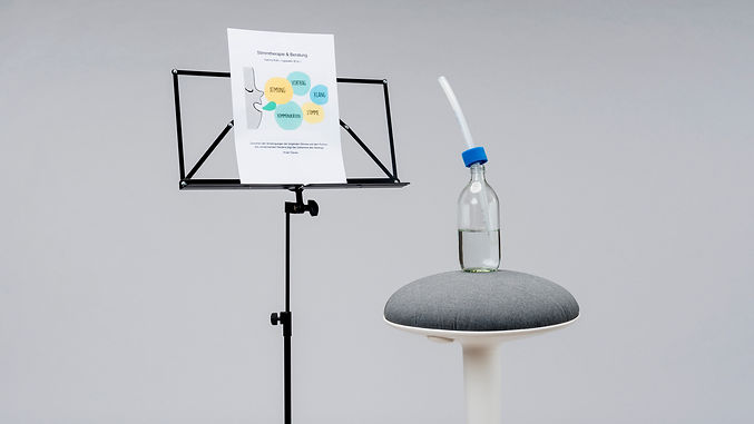 Stimmtherapie und Beratung