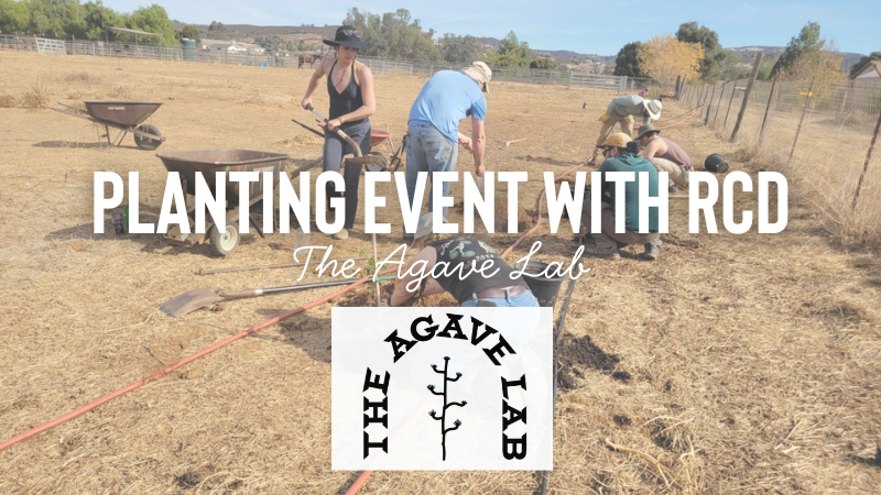 Planting Event with Resource Conservation District of Greater San Diego County