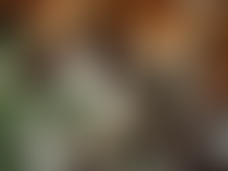 Dani Carnero aterriza en Balausta