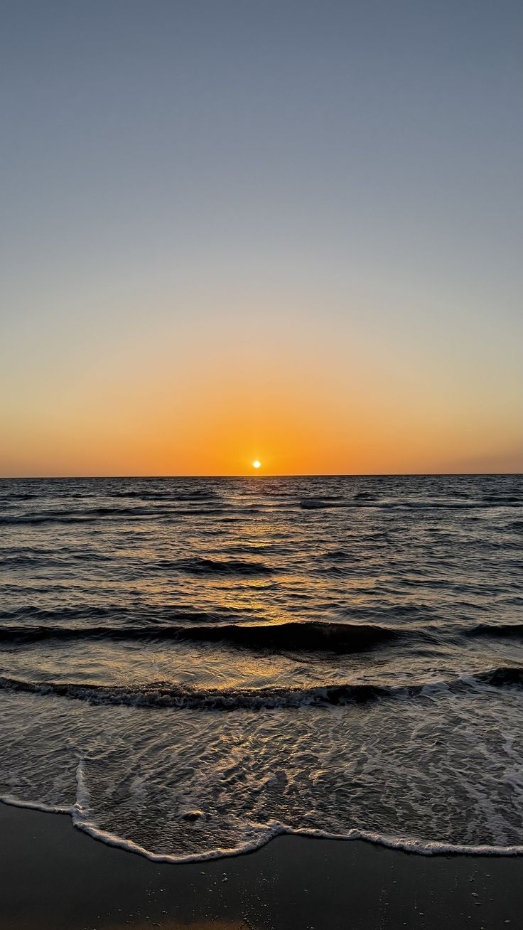 TROPICAL SOUNDS (3).jpg