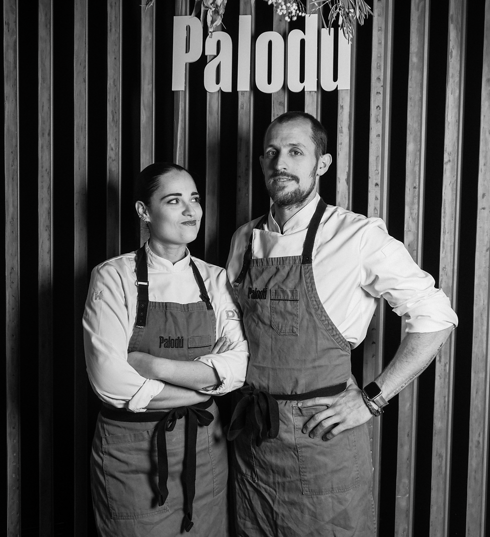 Screenshot 2025-08-12 at 10.06.44.png